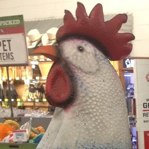 Meet your Posher, Becky